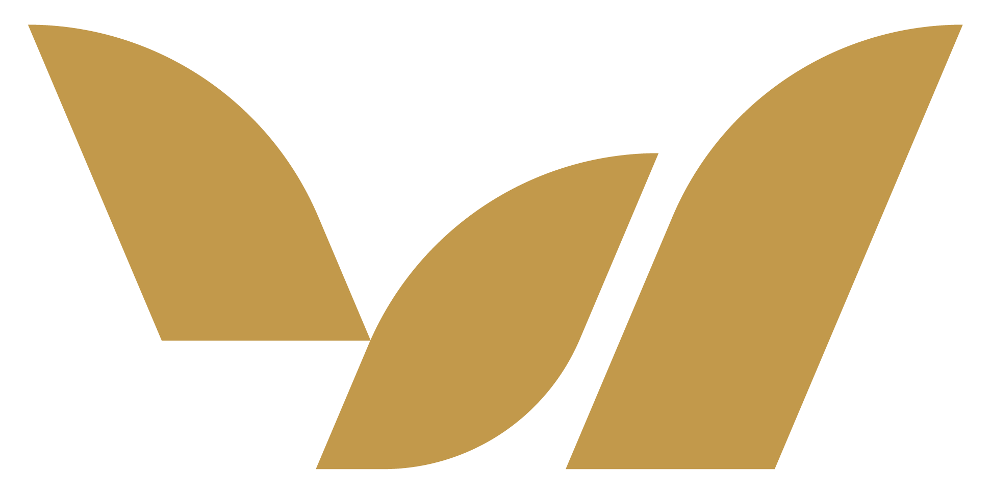 tws logo asset 13